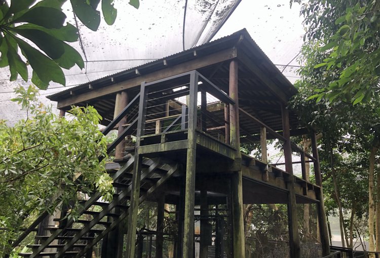 cairns commercial shade sails The CaPTA Group